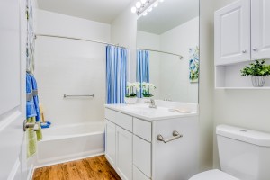 Two Bedroom Apartments in Limerick, PA - Model Large Bathroom with Garden Tub 